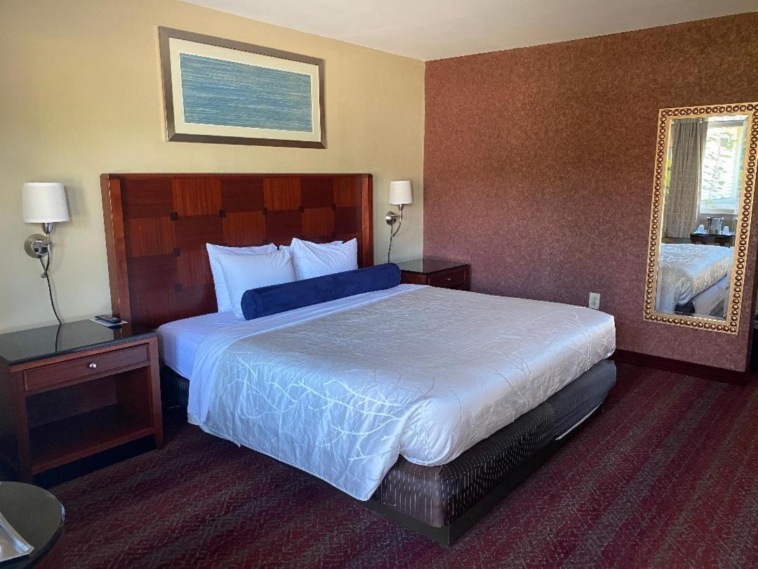 The Black Mountain Motel 2*